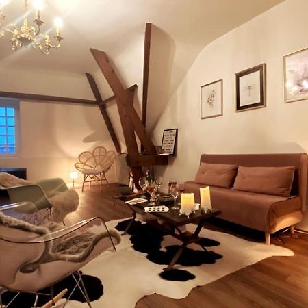 Grand Appartement Place Saint-Pierre, Proche Chateau De Saumur Et Bord De Loire" Exteriér fotografie