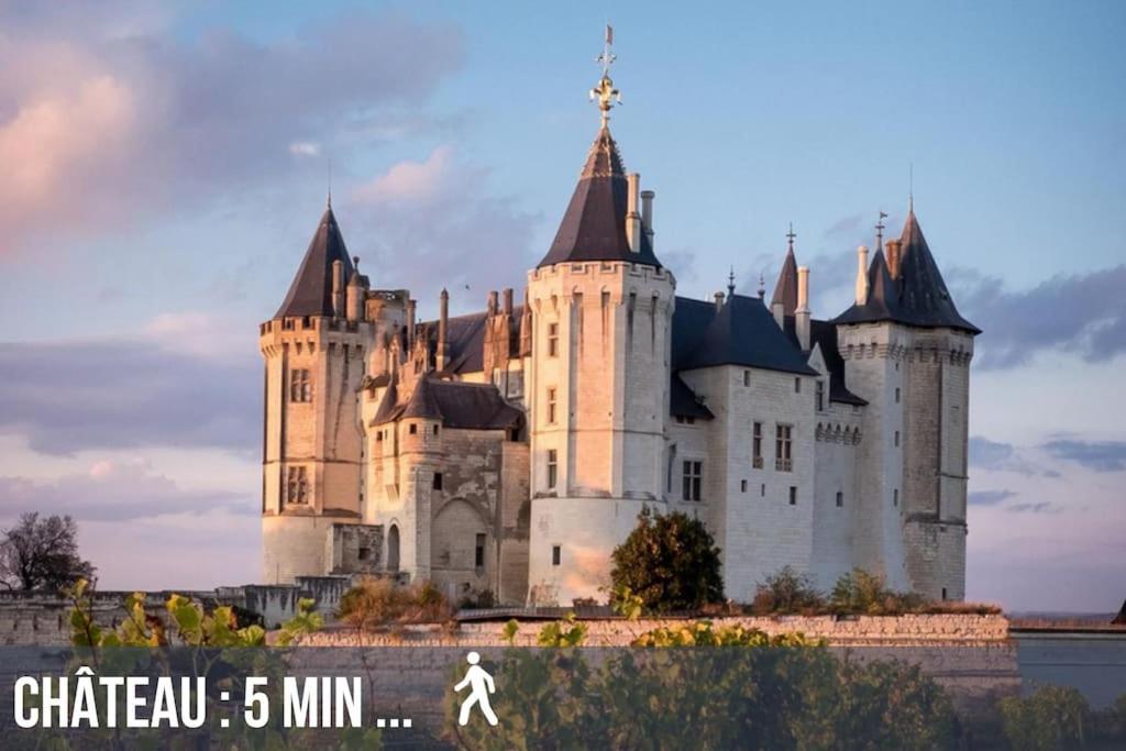 Grand Appartement Place Saint-Pierre, Proche Chateau De Saumur Et Bord De Loire" Exteriér fotografie